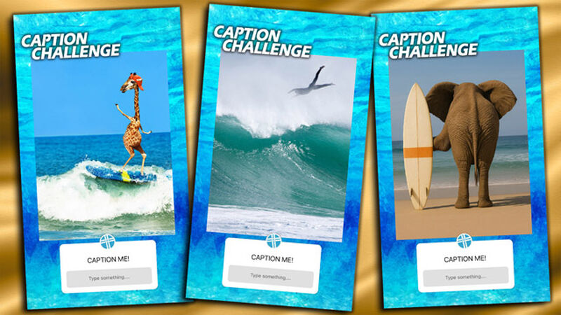 Caption Challenge Surf's Up